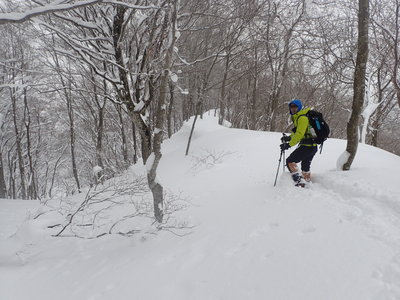 鯉谷へ向かう尾根