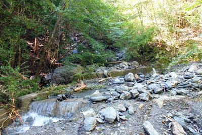 マナコ谷登山口