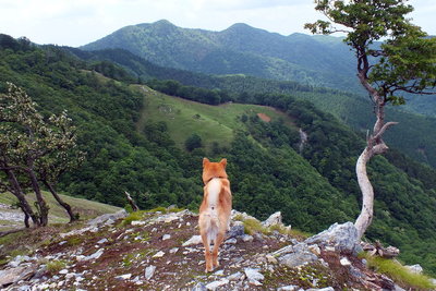 シャイですので後ろ姿で失礼します