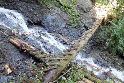 DSCF2268.jpg (235.16 KiB) 閲覧された回数 6235 回 恐怖の丸太橋