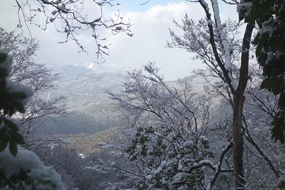 DSC02100a.jpg (190.73 KiB) 閲覧された回数 4325 回 京都一周トレイルから北山を望む
