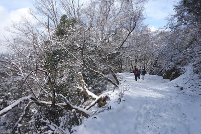 DSC02105.jpg (239.04 KiB) 閲覧された回数 4325 回 さらに下って