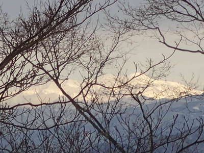 木々の向こうに白山