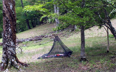 盆栽平でランチタイム