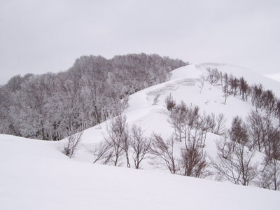 雪がたっぷりあればこんな感じ