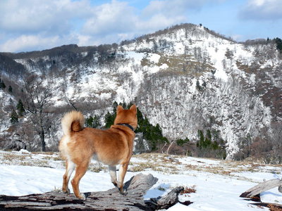 ヒキウスで雪遊び