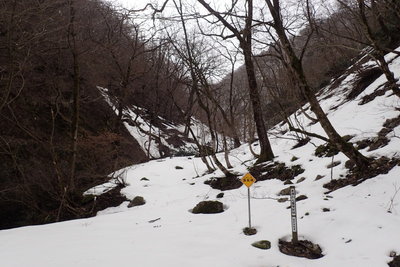 登山口から雪が繋がっていた