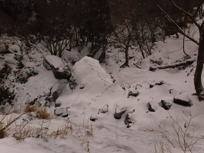 グーのフットプリント