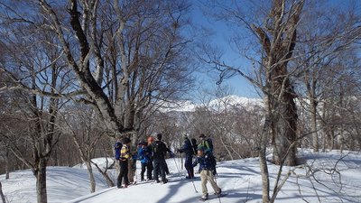 有家ヶ原山近くのブナ林に見惚れるkandさん