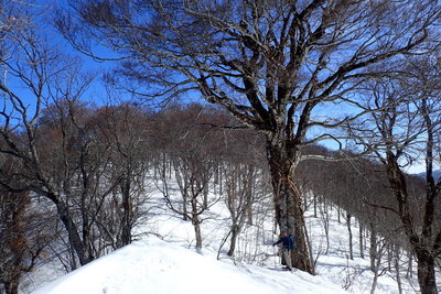 邪魔やで～(^^;)