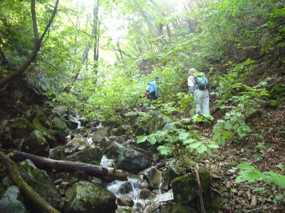 道なき道を歩く