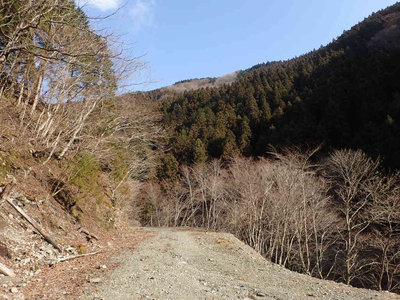 P3120135.jpg (115.7 KiB) 閲覧された回数 8749 回 千秋林道