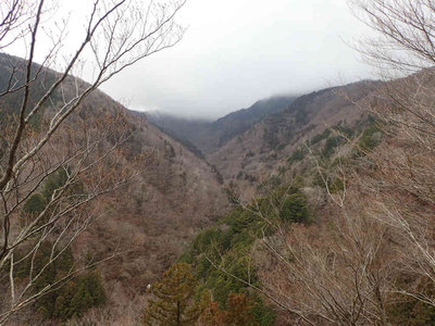 P3120145.jpg (85.56 KiB) 閲覧された回数 8350 回 県境稜線はガス