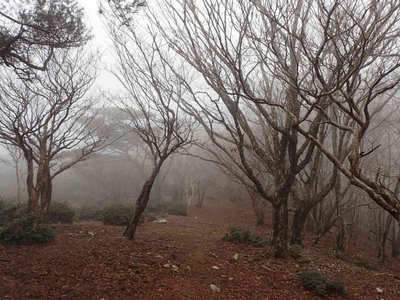 P3120160.jpg (107.64 KiB) 閲覧された回数 8349 回 馬駆が辻へ