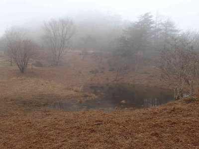 P3120166.jpg (61.2 KiB) 閲覧された回数 7881 回 赤ゾレ池