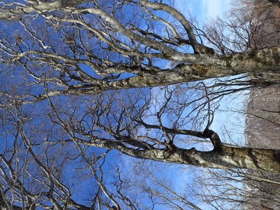 P3090501.JPG (711.14 KiB) 閲覧された回数 4523 回 P3090501.JPG