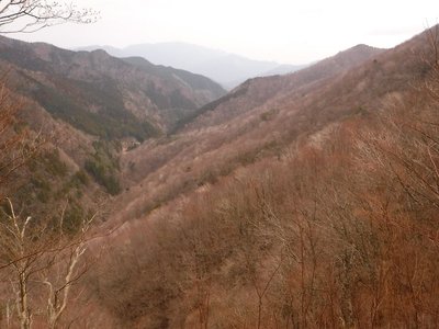 20190323-10.jpg (121.55 KiB) 閲覧された回数 7264 回 木梶川右岸春色グラデーション