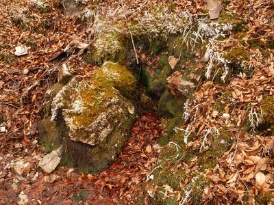 国見若水。掃除前。