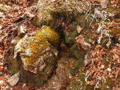 国見若水。掃除後。