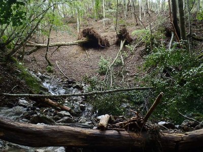 木原谷・奥の二俣の右俣