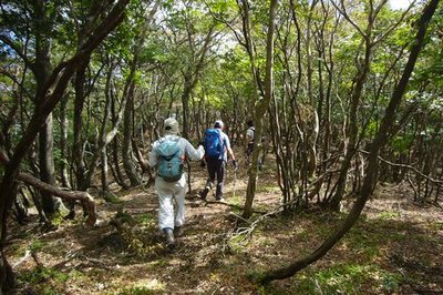 タイジョウからイブネへの尾根