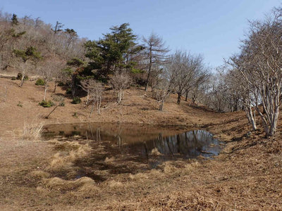 P3270021.jpg (105.75 KiB) 閲覧された回数 6273 回 赤ゾレ池