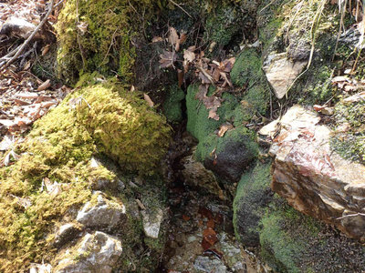 P3270031.jpg (136.51 KiB) 閲覧された回数 6640 回 国見若水