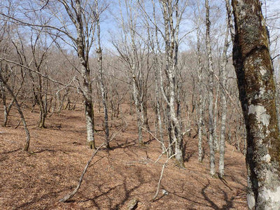 P3270036.jpg (139.03 KiB) 閲覧された回数 5861 回 「国見公園」付近