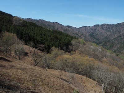 シチグレ峠方面を望んで