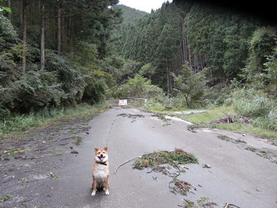 つづ田原橋手前の空き地