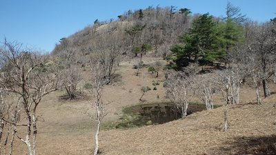 P5040966.jpg (190.97 KiB) 閲覧された回数 7072 回 ハート型がクッキリの赤ゾレ池