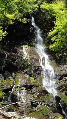 P5040998.jpg (250.81 KiB) 閲覧された回数 7963 回 和佐羅滝