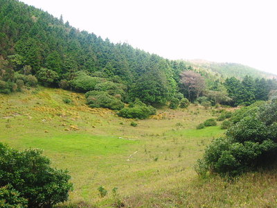 ● 小太郎原真ん中に芝の間、傾斜が有るんだよね