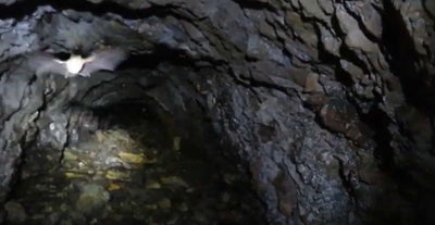 かすめるように当たってきよりました