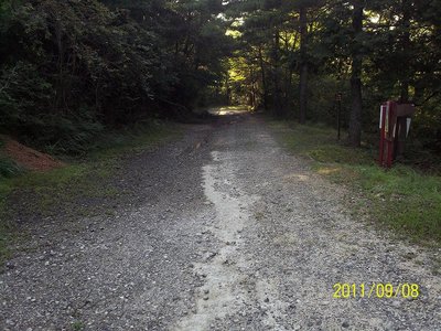 大堰堤手前の路肩