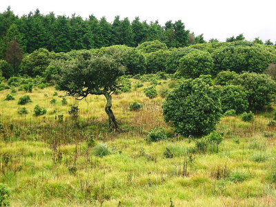 ● 北の方向に見た所、いい雰囲気だね