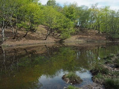 南の池.jpg (153.7 KiB) 閲覧された回数 3430 回 南の池