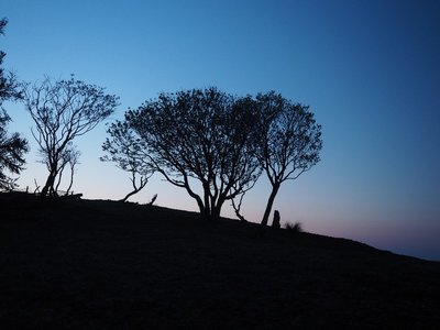 黎明の権現山.jpg (137.28 KiB) 閲覧された回数 3430 回 黎明の権現山に