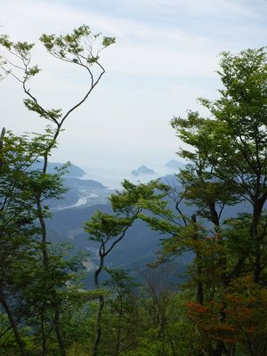 DSCF2067.JPG (276 KiB) 閲覧された回数 4729 回 ヤマツツジと尾鷲湾