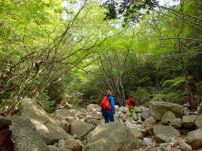 P5120004.jpg (120.65 KiB) 閲覧された回数 6132 回 一ノ谷本谷