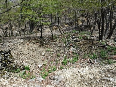 六線索道の中継地