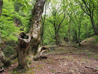 またもや行っちゃいました。