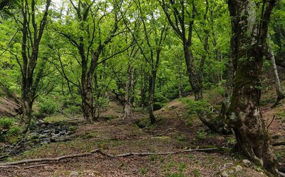 今度はこっちから行っちゃいました