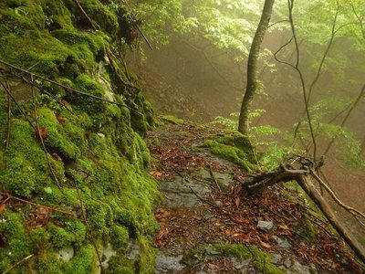 岩の側面が手彫りした痕跡のように見えます。