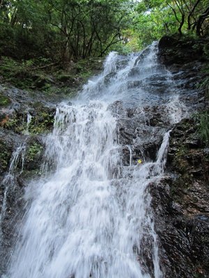 橋手前の枝谷の滝