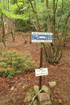 今は迷いようがないですね