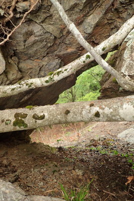 近過ぎてちょっとわかりにくいですが。