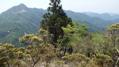 P5260131.jpg (308.34 KiB) 閲覧された回数 15783 回 鎌ヶ岳を背に御嶽大権現へ