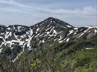 三ヶ辻山を望む
