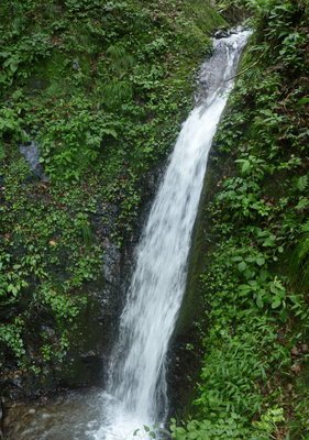 パノラマ 1_1.JPG